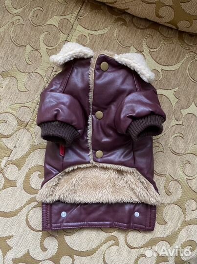 Куртка для собак мелких пород