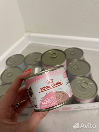 Корм для котят