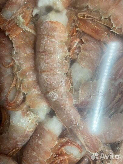 Лангустины без головы