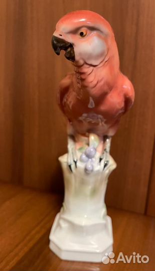Птица попугай фигурка фарфоровая германия