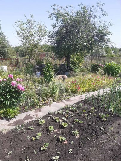 Дача 20 м² на участке 12 сот.