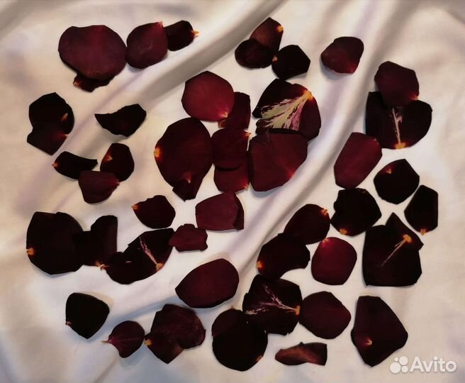 Гербарий плоскозасушенные лепестки роз