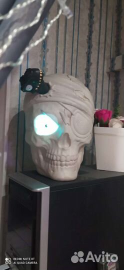 Гигантский череп zuru