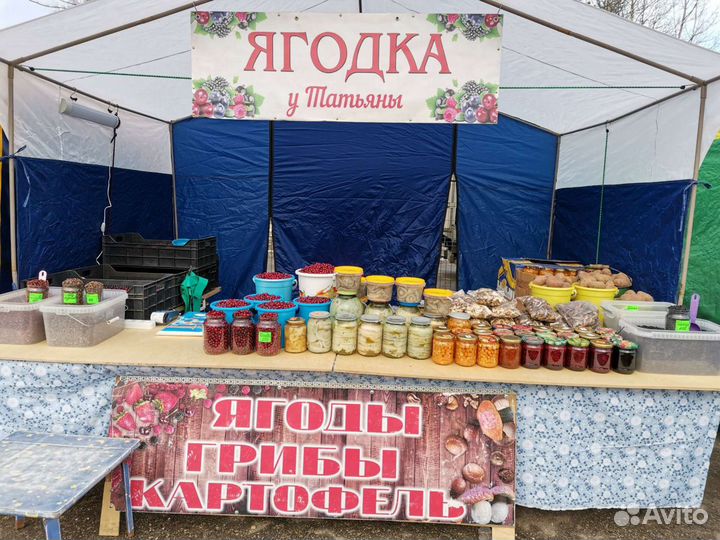 Продукты питания, для дома и дачи