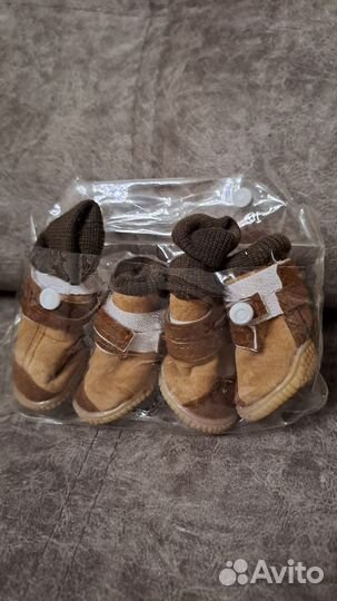 Одежда и обувь для маленьких собак