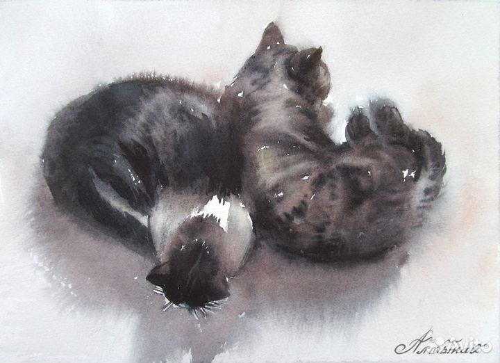 Картина акварелью. Спящая пара кота и кошки