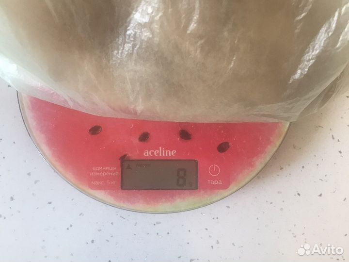 Кошачья шерсть