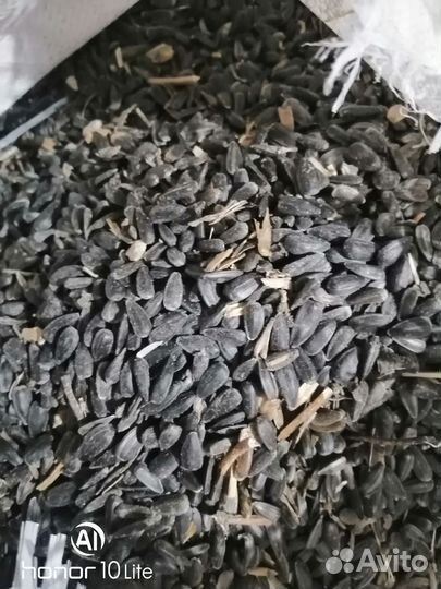 Семечка подсолнуха и не только