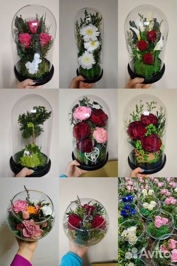 Настоящие цветы и растения - служат до 5 лет, от