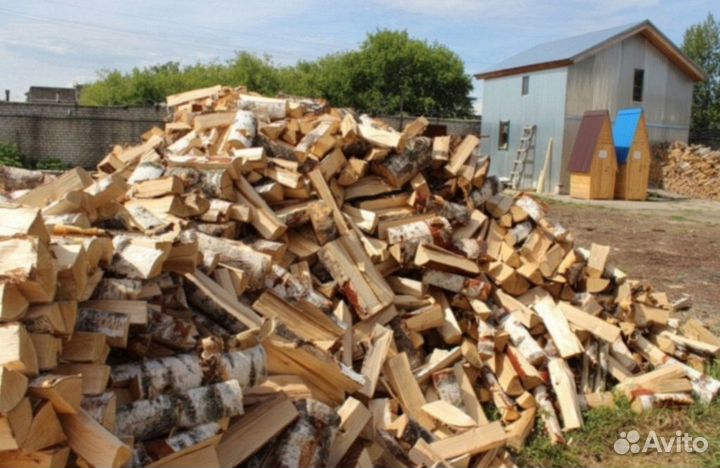 Дрова береза