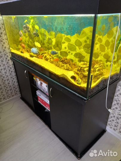 Аквариум с тумбой и рыбками
