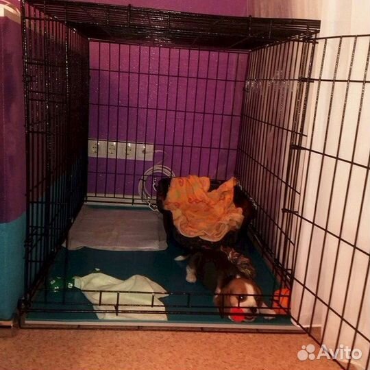 Клетка для собак