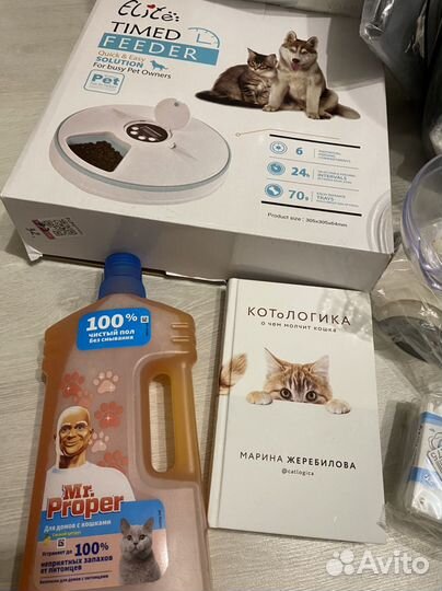 Всё для котёнка кошки