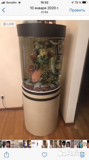 Аквариум торг