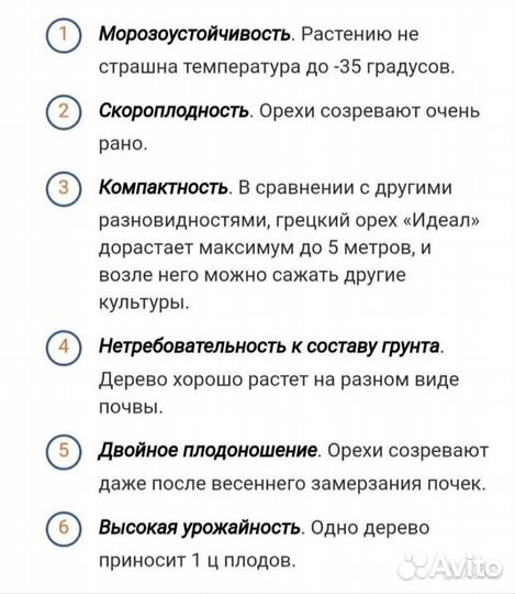 Грецкий орех 