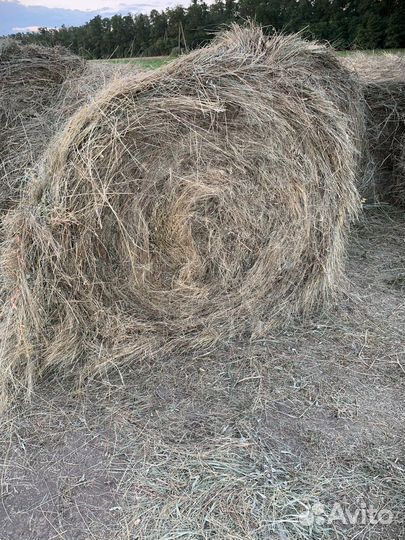 Сено в рулонах