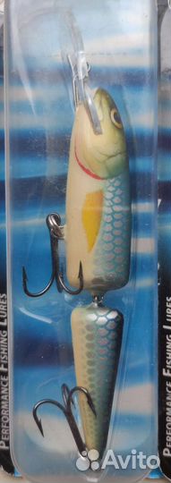 Salmo whitefish 13JD