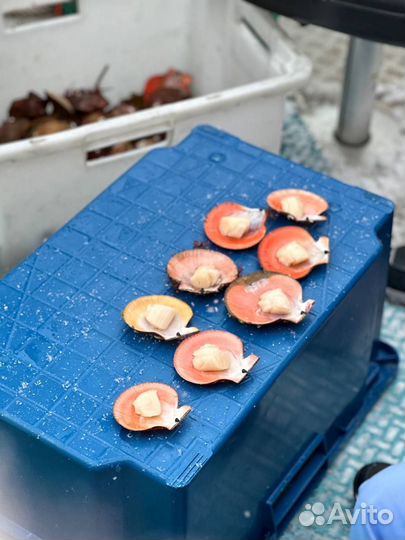 Экскурсия в Териберку