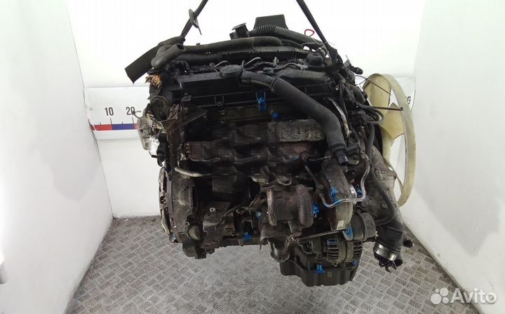 651.955 Двигатель на Mercedes Benz Sprinter 2 2,2
