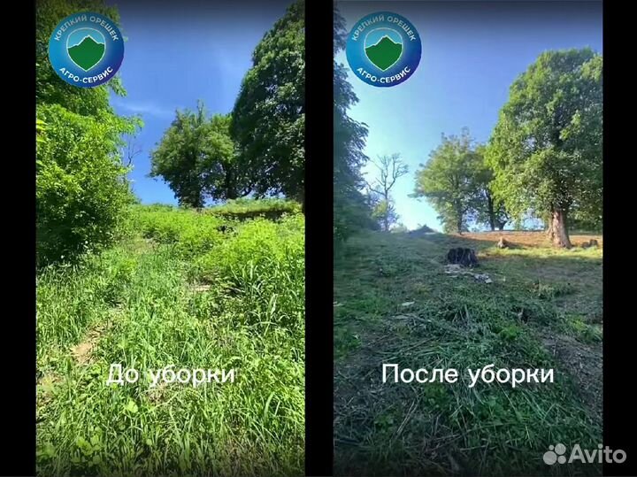 Расчистка участка