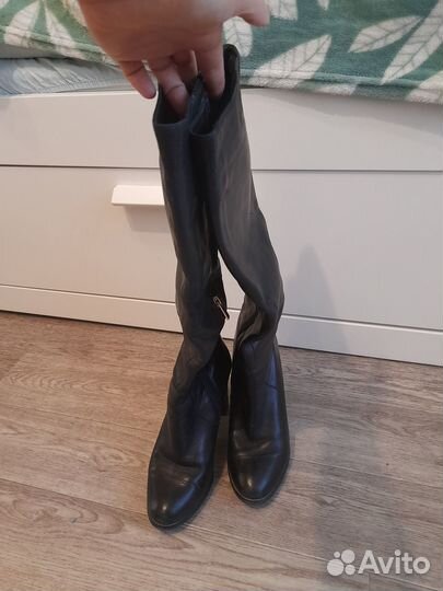 Сапоги basconi