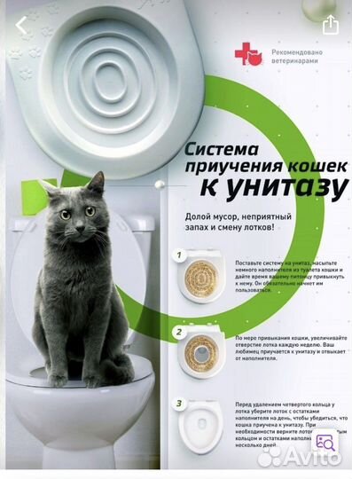 Приучение кошек к унитазу
