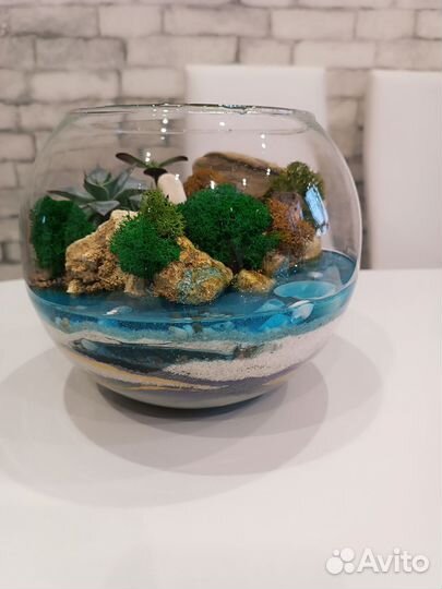 Флорариум. Цветы. Подарок