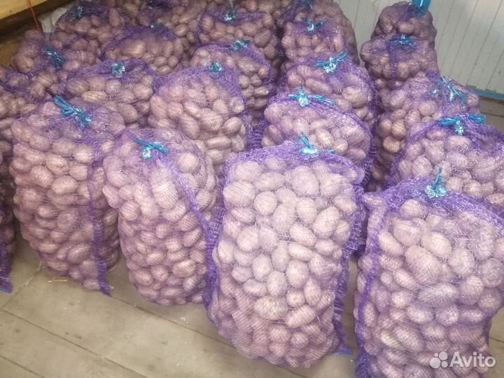 Продам картофель