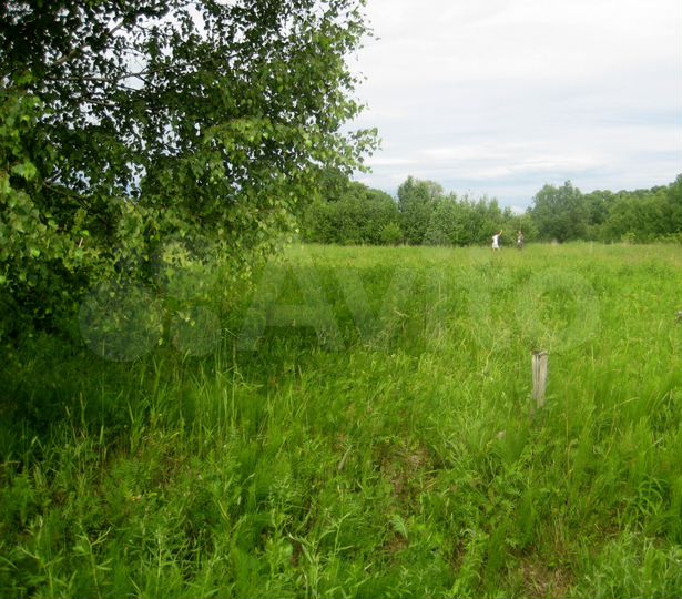 Участок 15 сот. (ИЖС)