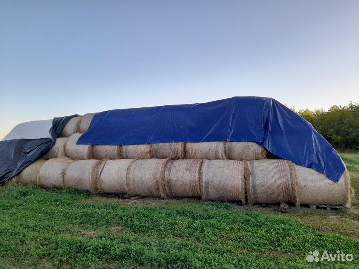 Продам сено в тюках