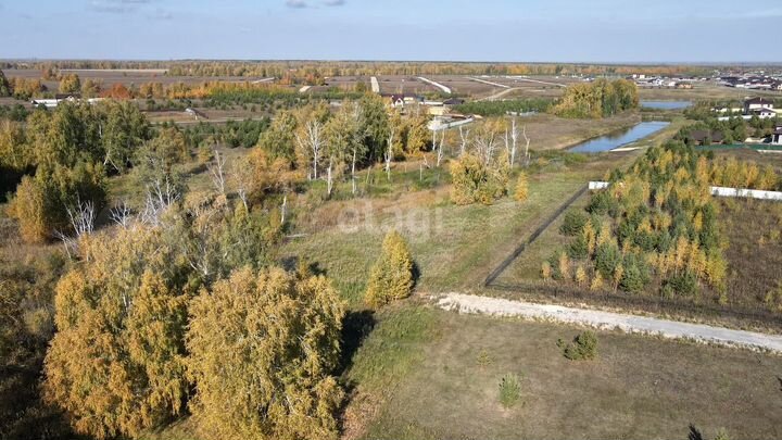 Участок 40 сот. (СНТ, ДНП)