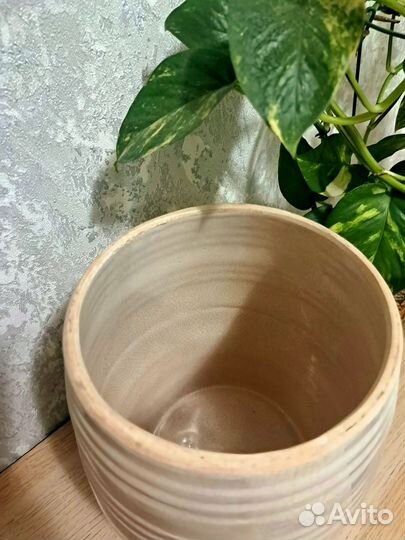 Ваза, кашпо