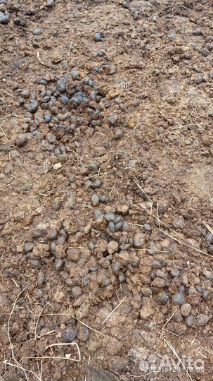 Навоз перегной конский