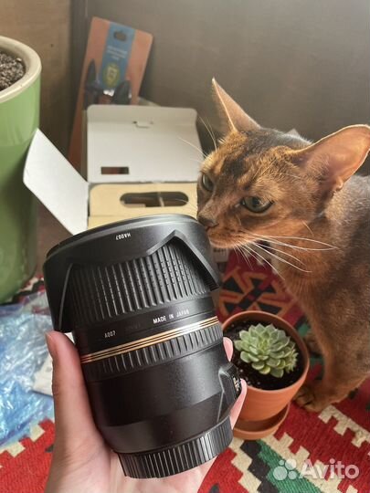 Объектив tamron для canon 24-70mm sp F2.8