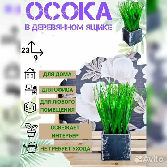 Осока в ящике