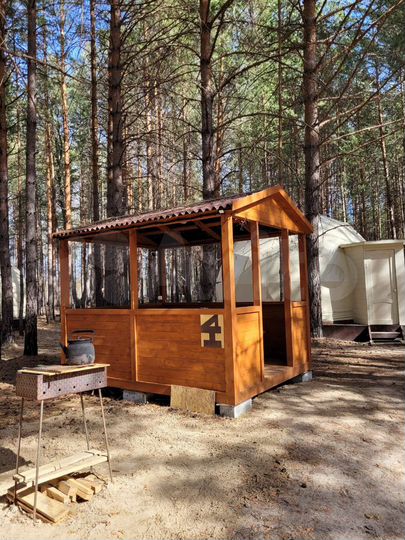 Дом 36 м² на участке 3,3 га