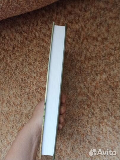 Книга «Золи»