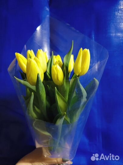 Тюльпаны букет 11 шт