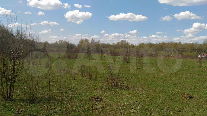 Участок 1,15 га (ИЖС)