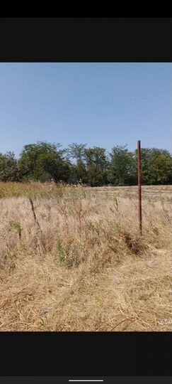 Участок 8 сот. (СНТ, ДНП)