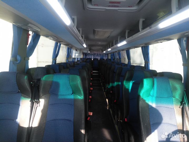 Заказ автобусов от 16 до 49 мест. Перевозка детей