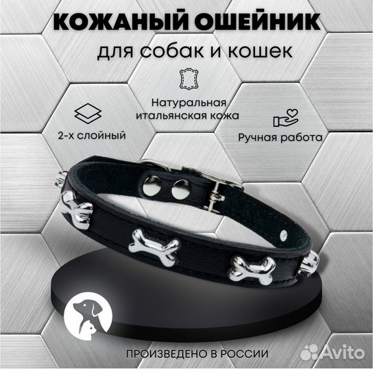 Ошейник и поводок