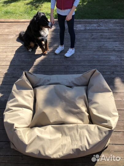 Лежанка для собак (диван, софа для собак) 100х120