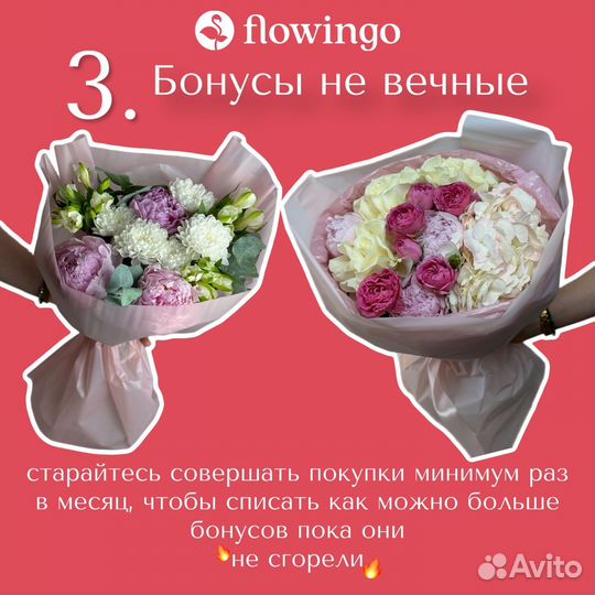 Цветы розы и букеты с доставкой