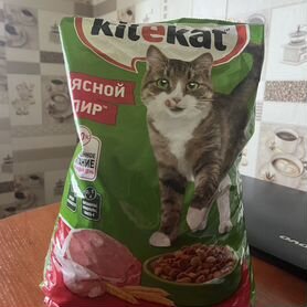 Сухой корм для кошек