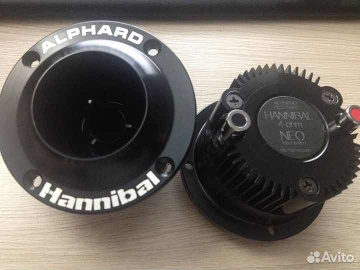 Рупора alphard