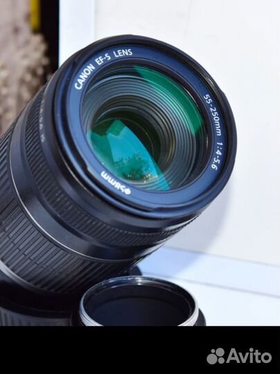 Canon Zoom Lens EF-S 55-250mm f/4-5.6