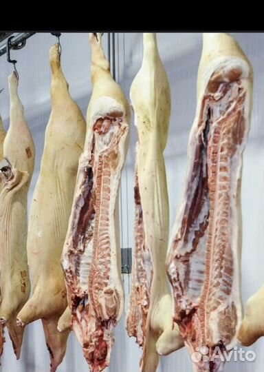 Продам мясо свинины,птицы,говядины, шашлыки