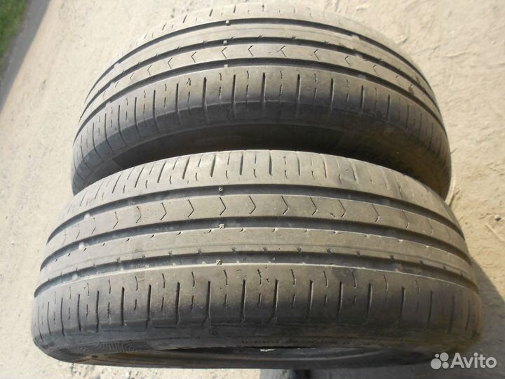Continental ContiPremiumContact 5 175/65 R14