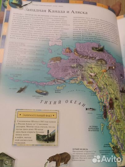 Детский обзорный атлас мира (3000 иллюстраций)